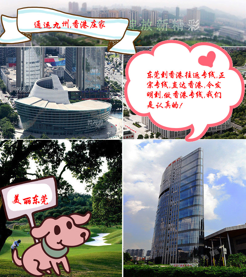 東莞到香港貨運(yùn)公司，東莞到香港物流公司，東莞到香港運(yùn)輸公司，東莞到香港的物流，直達(dá)香港，安全高效有保障