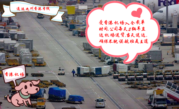 莆田到香港運(yùn)輸專線，真的很快，我們每天晚上8點(diǎn)發(fā)車，直達(dá)香港