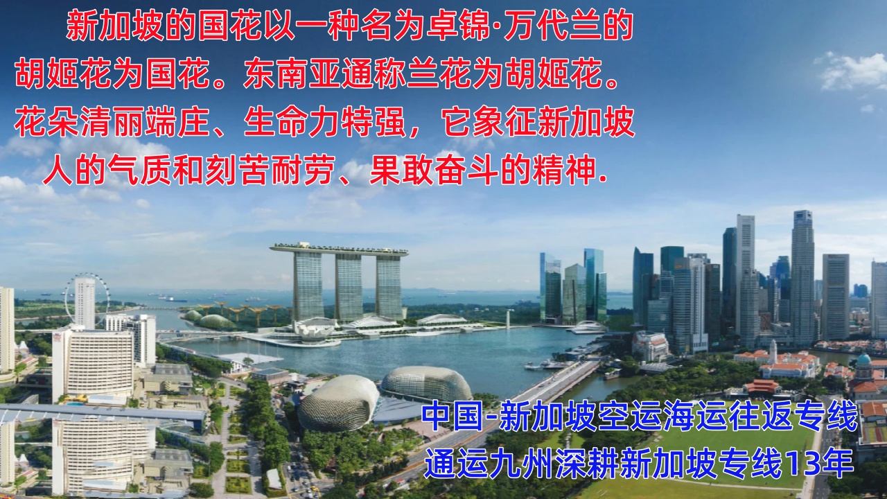 提供廣州到新加坡海運(yùn)服務(wù)，供應(yīng)廣州到新加坡空運(yùn)服務(wù)，報(bào)價(jià)表你看看
